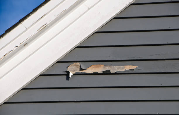Best Hoarding Cleanup  in Norco, LA